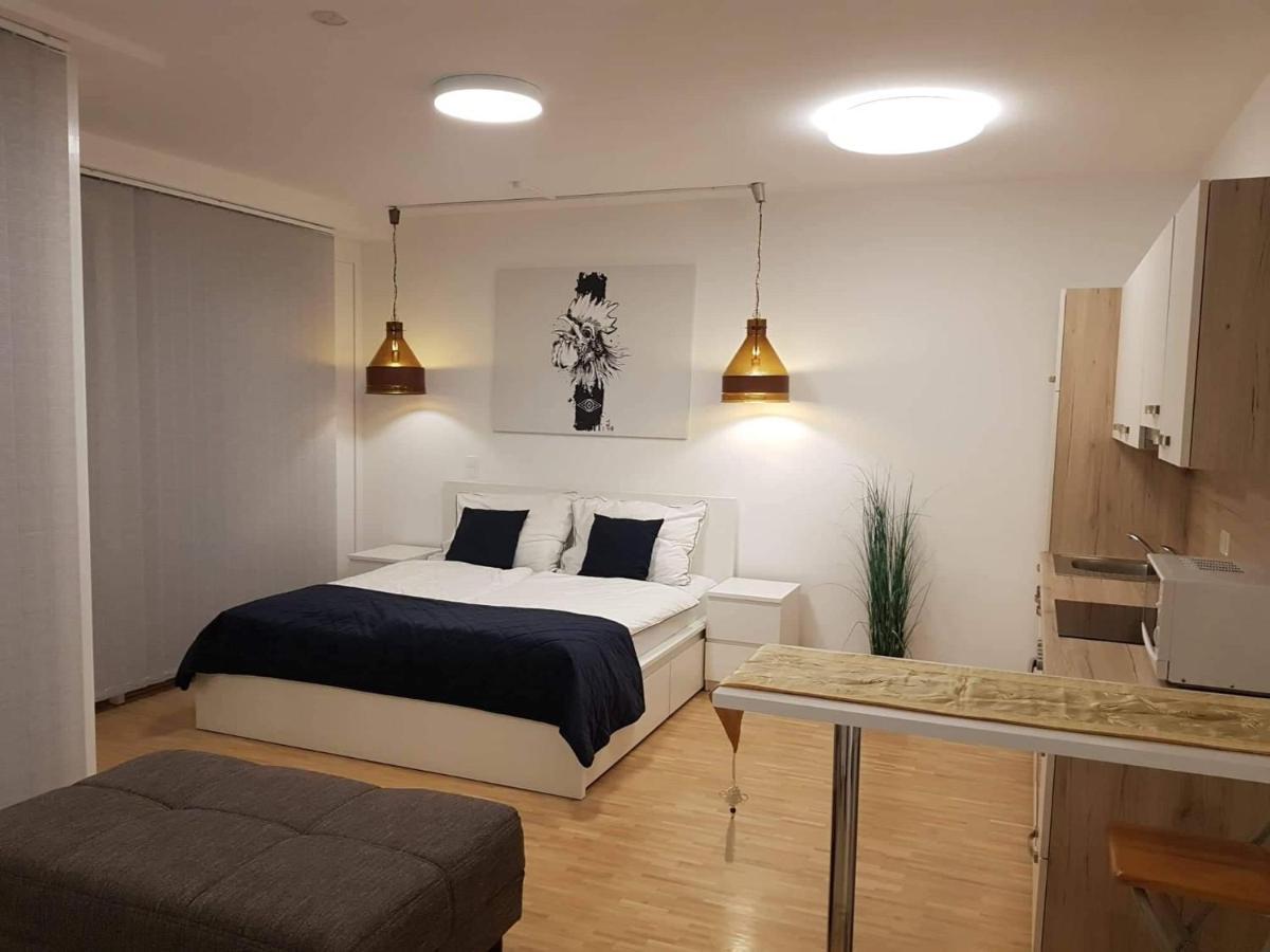 Central Lg Studio Free Parking Graz Kültér fotó